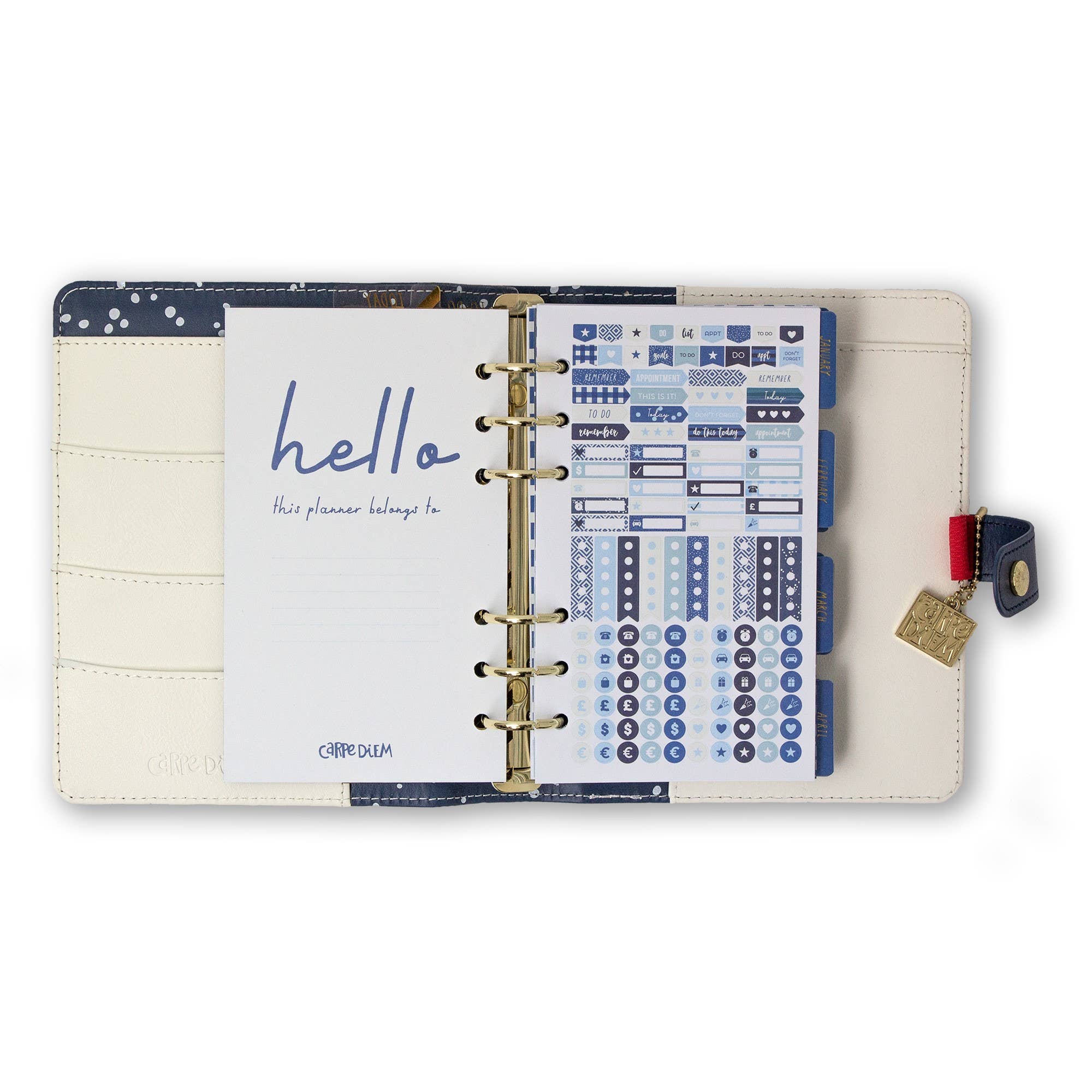 Pukka Pads North America - Wholesale Planner - Carpe Diem Personal Planner Boxed Set8