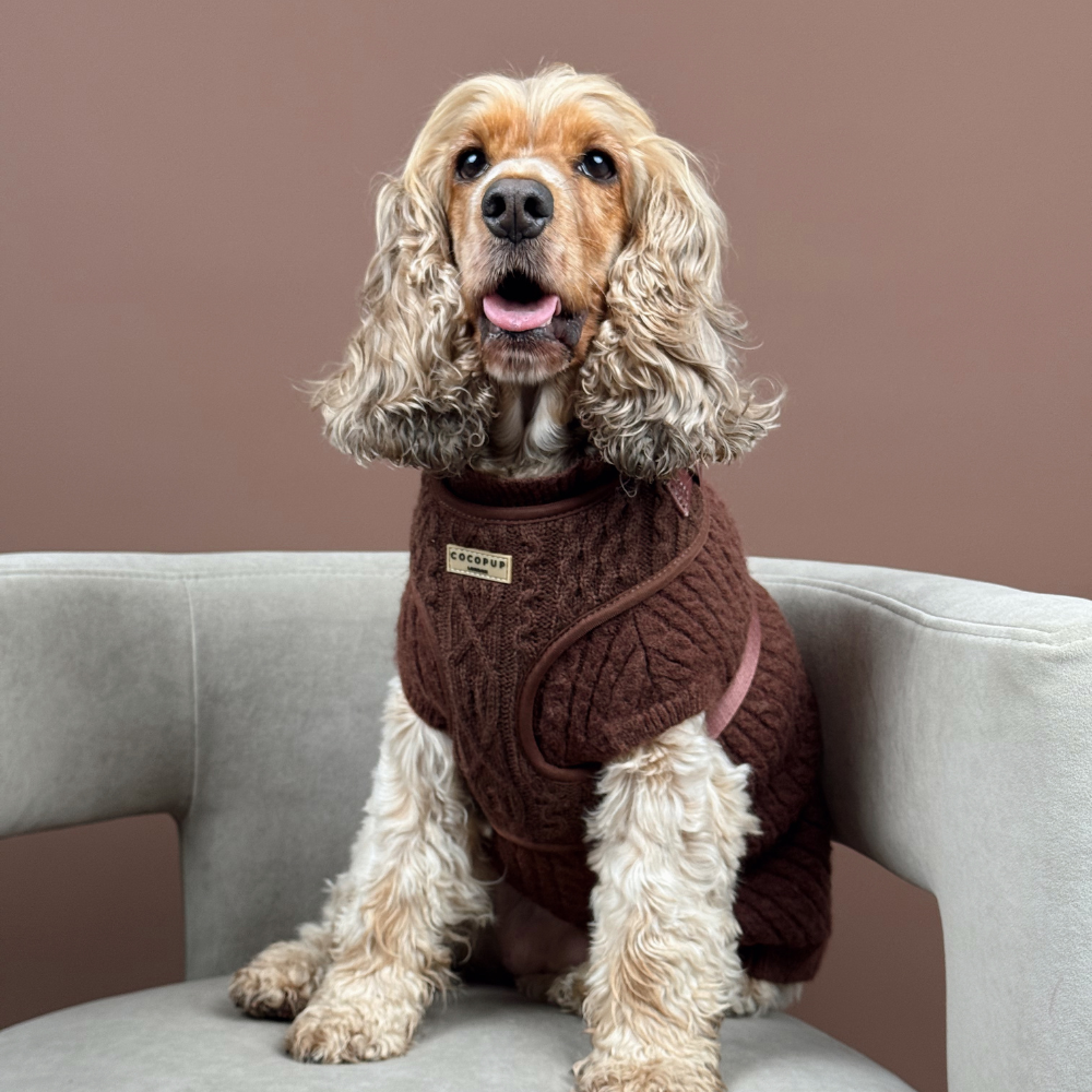 Cocopup London – wholesale Pet jumper – Dog – Cable Knit Jumper - Hot Coco9