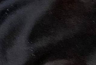 STUDIO CALEIDOSCOPE - Wholesale Clutch Bag - Women's - Mia Clutch Cowhide Hairon Leather5