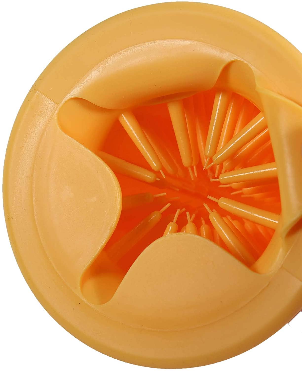 Penn-Plax - Wholesale Pet Grooming Aid - Dog - Paw Cleaner with Spill Proof Design for Dogs3