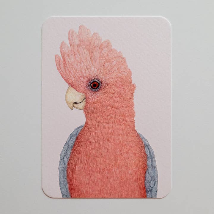 Postkort ROSIE for engroshandel hos Studio Binck