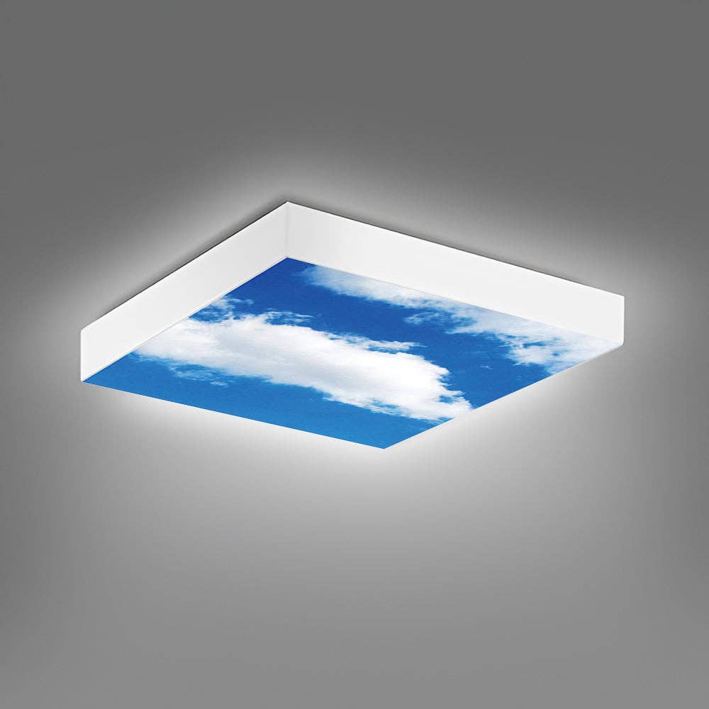 ENER-J – wholesale Light bulb/puck – SKY LED 40W Ceiling Panels 60x60cm with 3D Effect & Frame1
