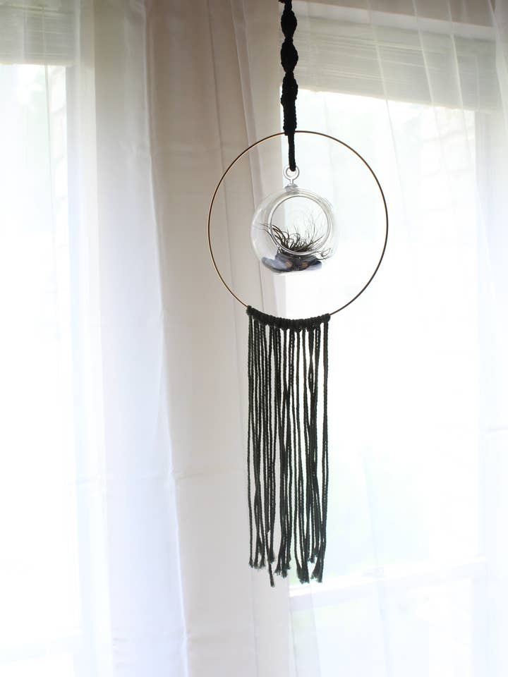 Cintre Globe Air Plant pour la vente par The Crafty Glammie