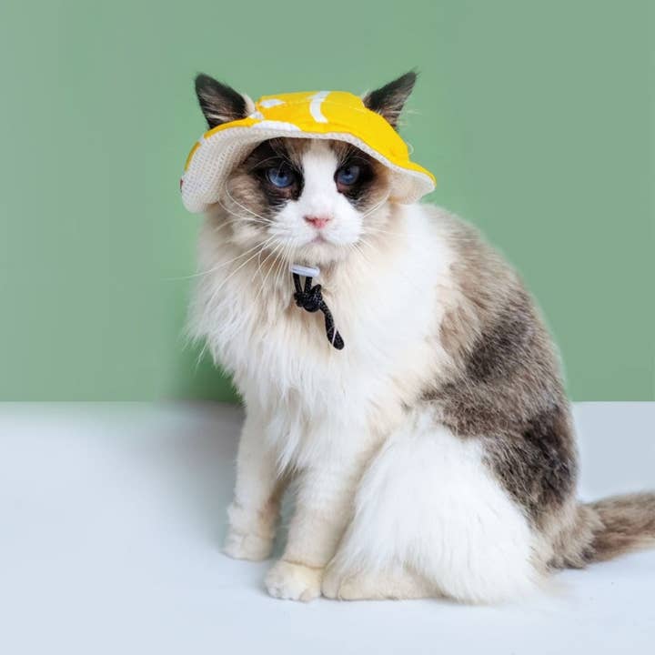 Cheerhunting - Wholesale Pet hat – Dog - Ozzie - Floral Pet Sun Hat1