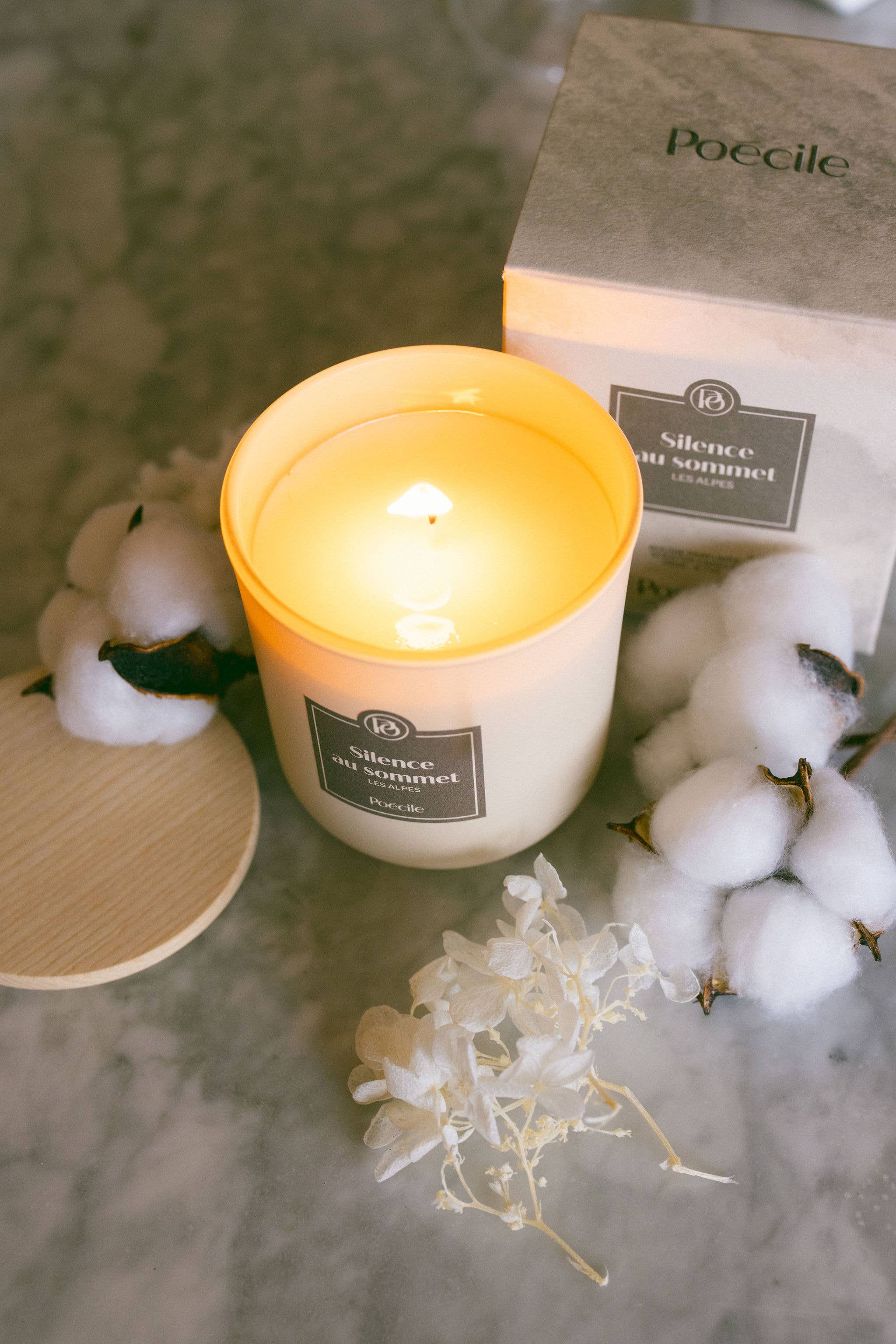 Poécile - Vendita all'ingrosso Candela in vasetto - Candela - Silenzio in vetta - Le Alpi1