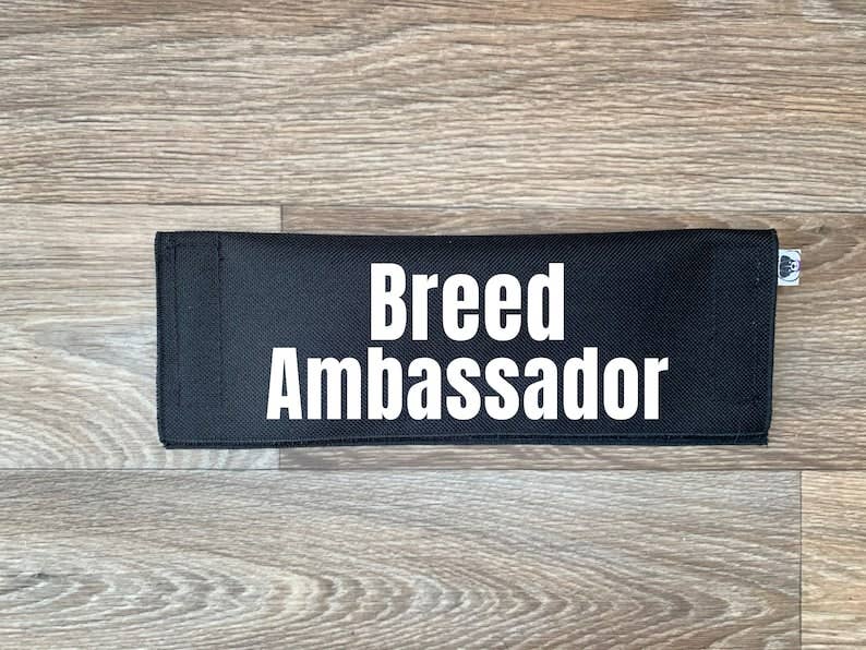 Best Friend Supplies Co - Wholesale Pet Leash - Dog - Bully Breed Ambassador2