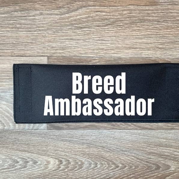 Best Friend Supplies Co - Wholesale Pet Leash - Dog - Bully Breed Ambassador2