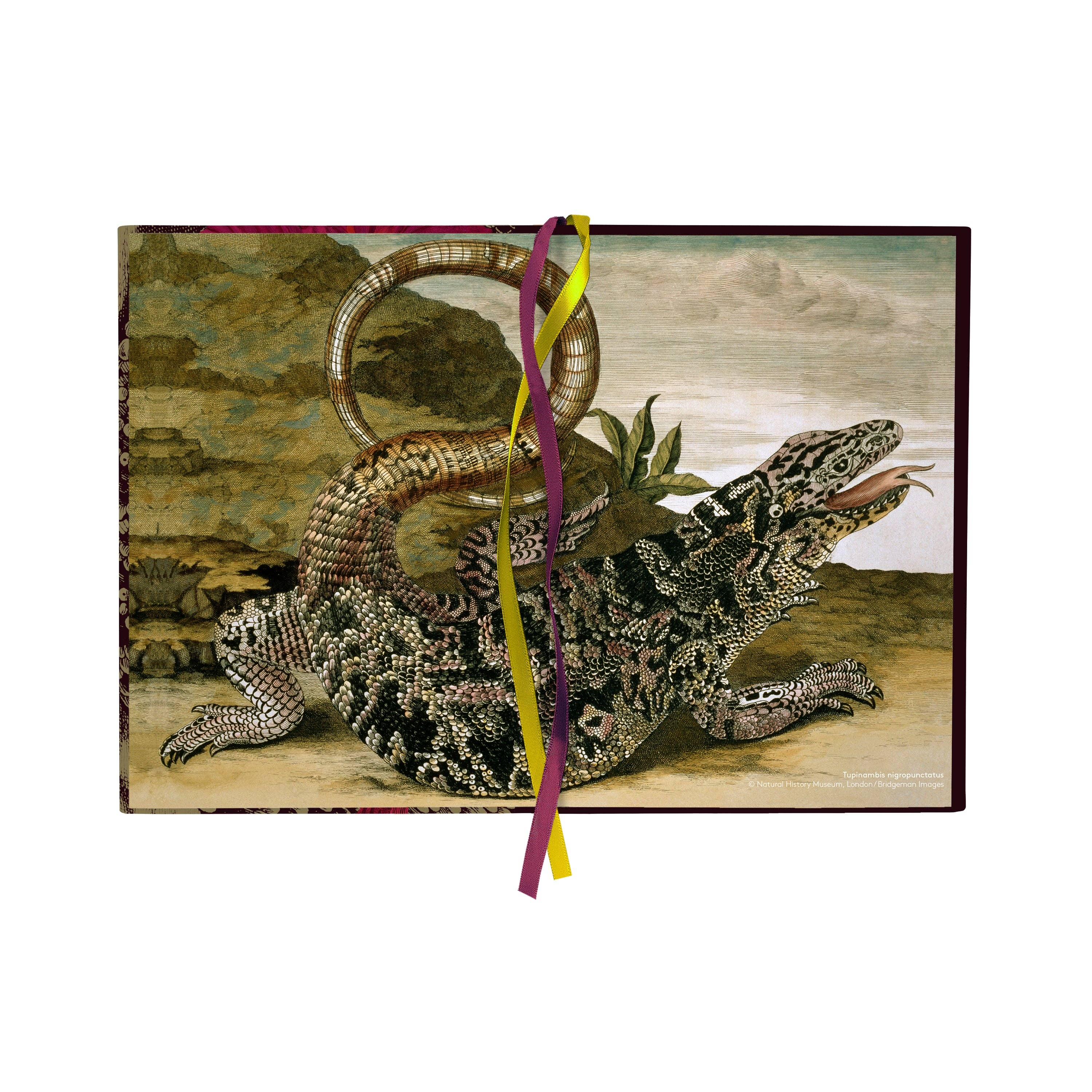 BIEN moves - Wholesale Notebook - Cotton notebook - Butterfly & flowers1