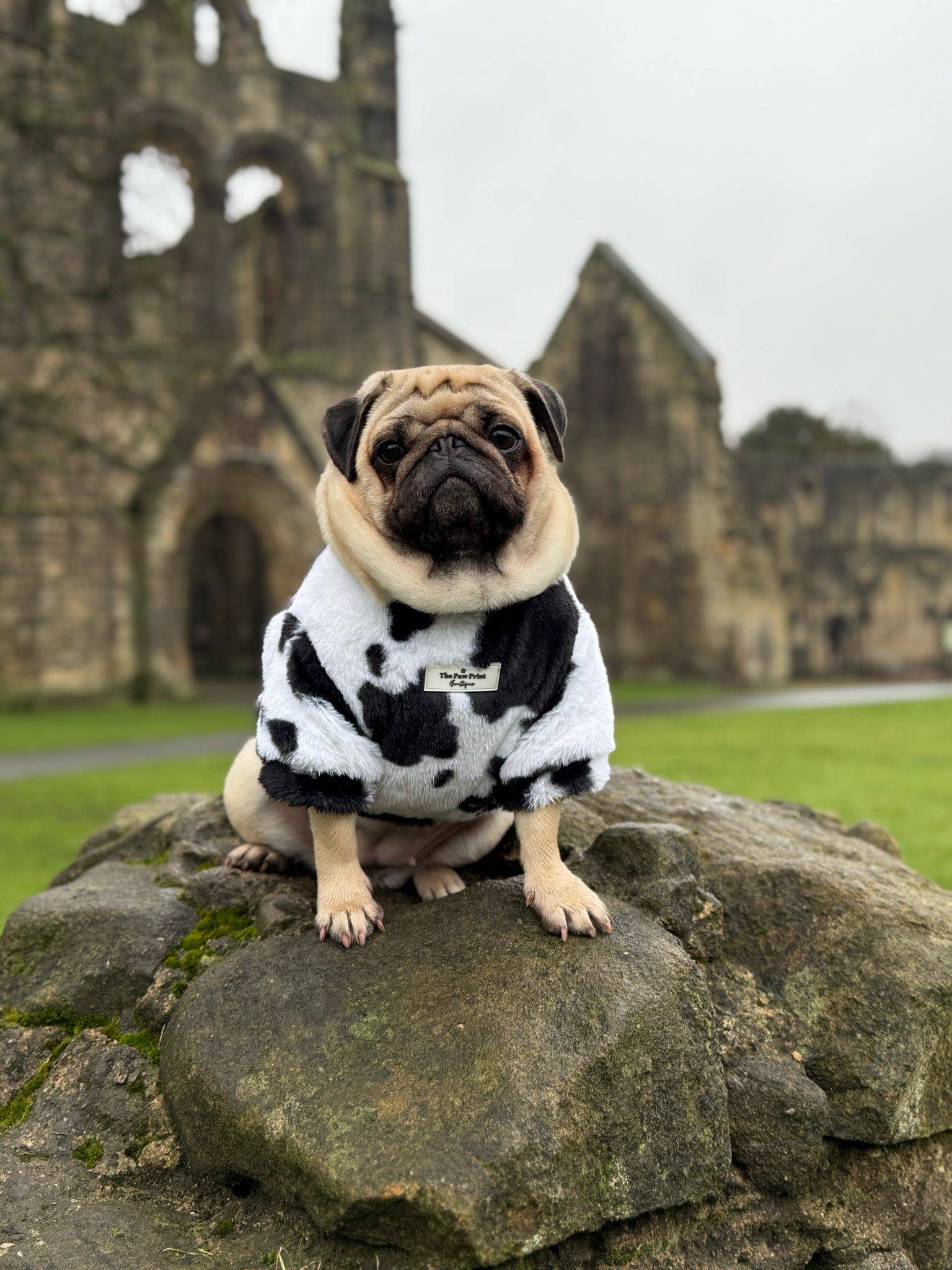 The Paw Print Boutique - Wholesale Pet Coat - Dog - The Cow Print Fluffy & Fabulous Fleece18