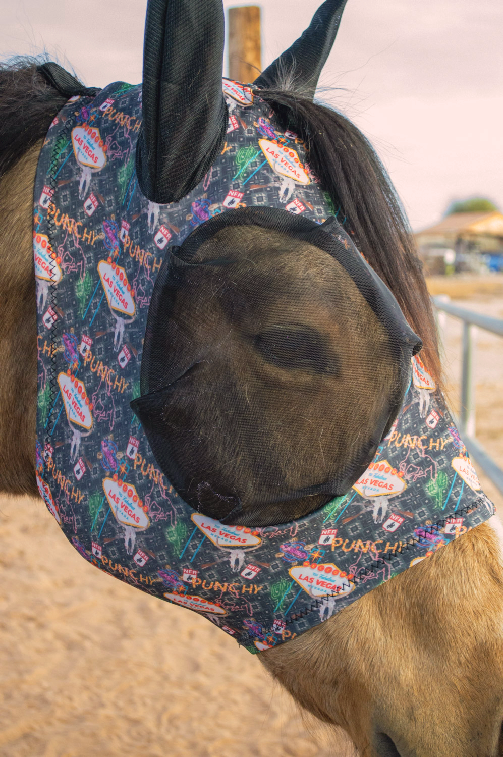 Schulz Equine - Wholesale Horseback Riding Gear - Lycra Fly Mask9