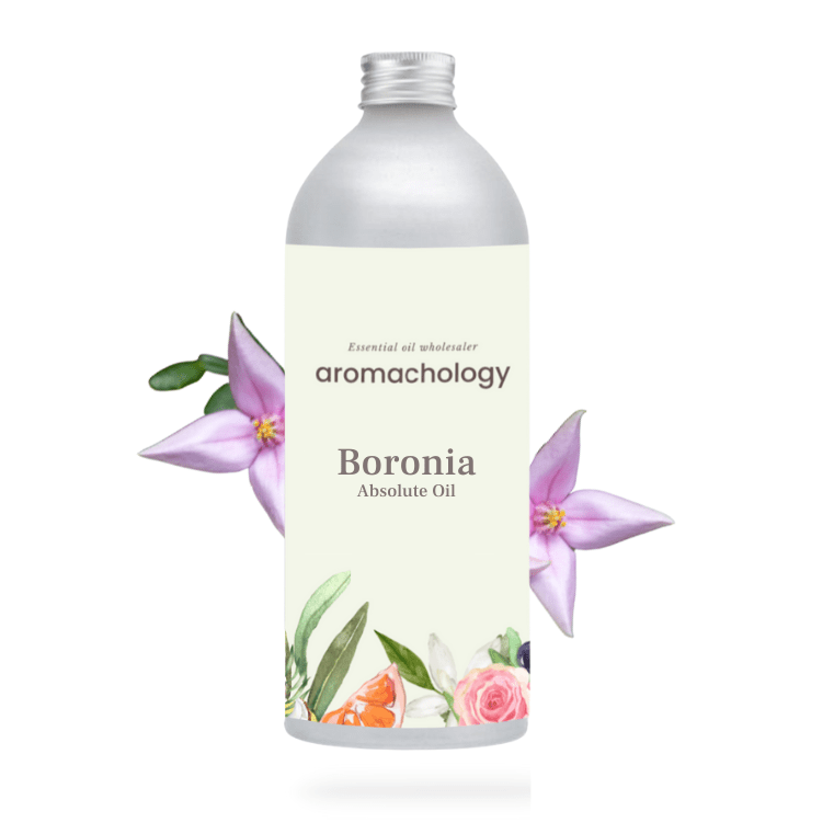 Aromachology - Venta al por mayor Aceite esencial - Absoluto de Boronia0