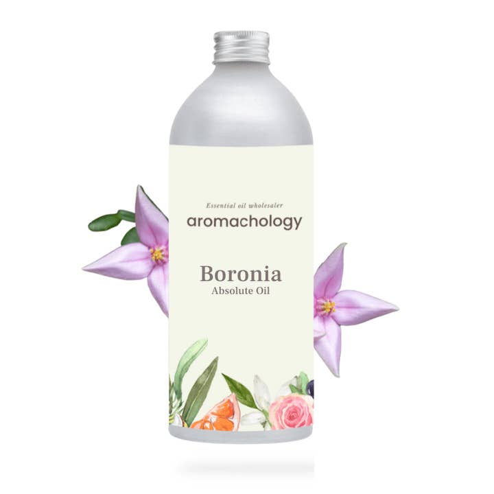 Aromachology - Venta al por mayor Aceite esencial - Absoluto de Boronia