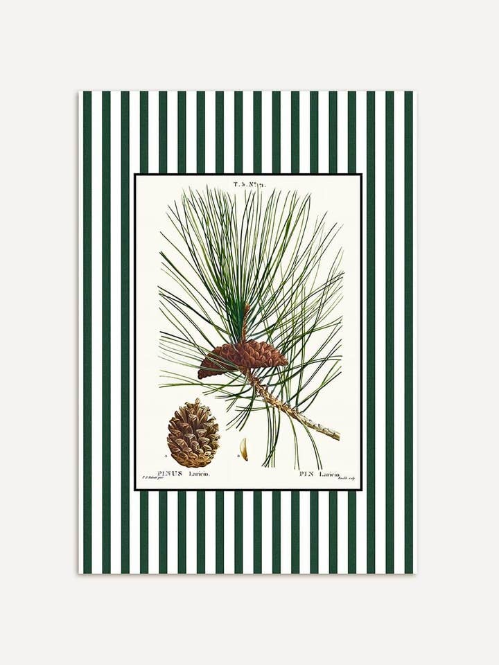 Botanisk kunsttryk med vintage stribemønster for engroshandel hos Modern Antique Prints