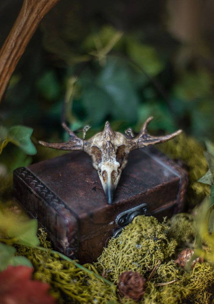 Costurero Real - Wholesale Pendant/Charm Necklace - Raven Skull Necklace Witchcraft Horns Fake Taxidermy1