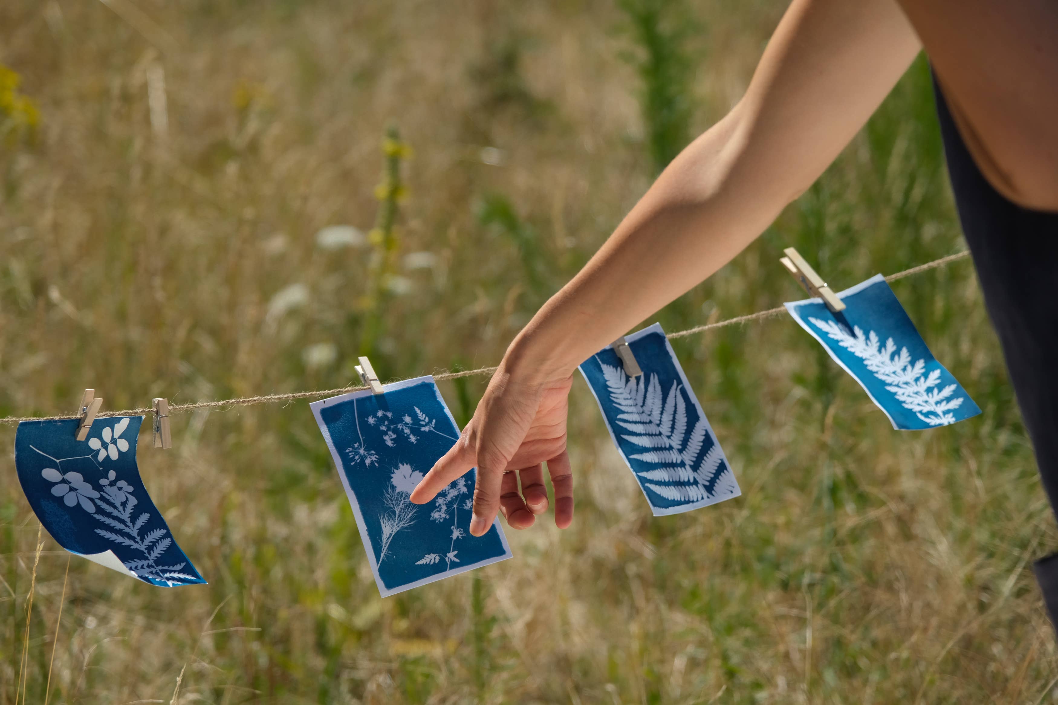 L'Atelier des Epatants – Kit de artesanato DIY por atacado – Kit de cianotipia8