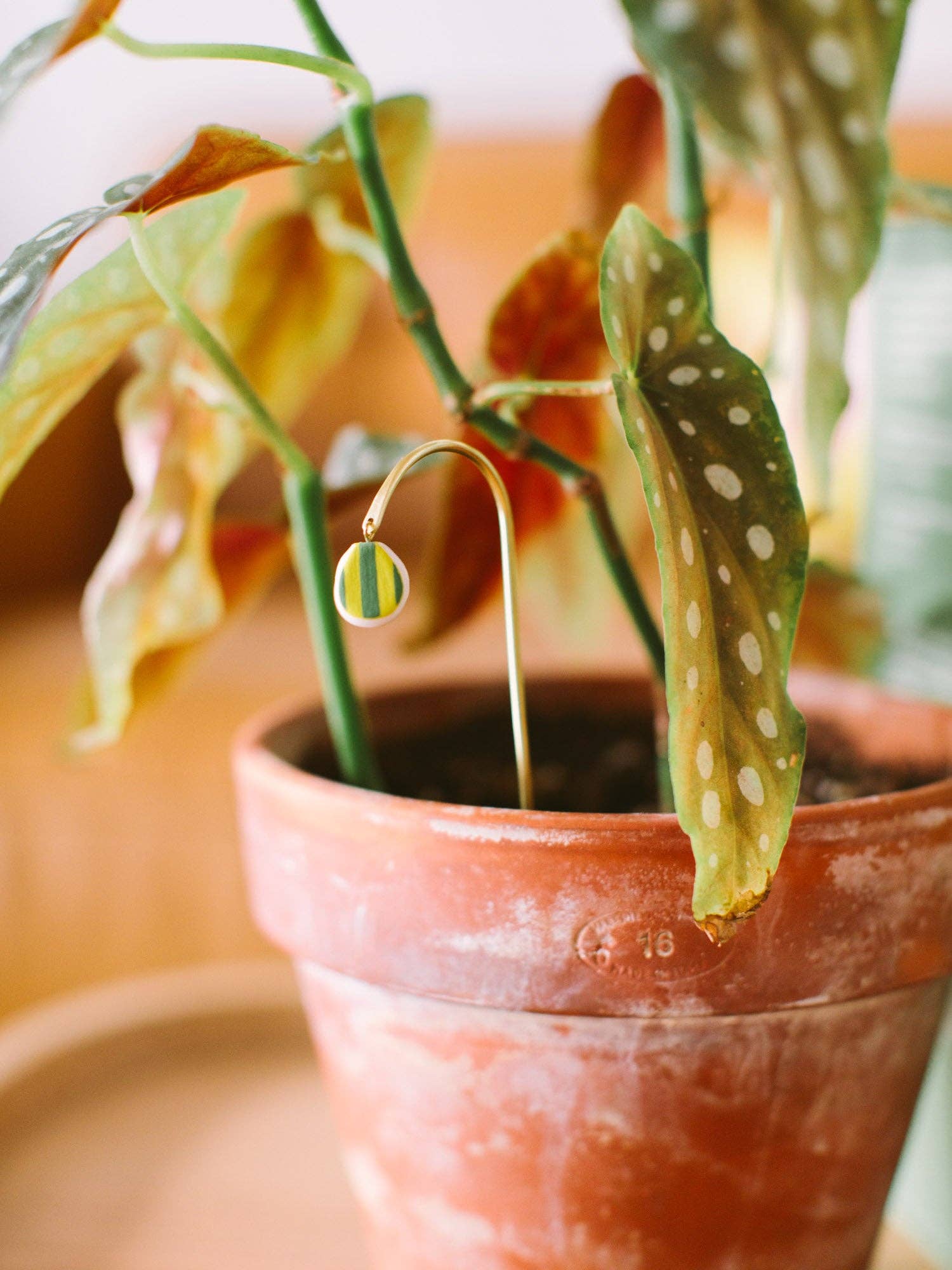 Twenty Two West - Wholesale Decorative Figurine - Tiny Plant Butterfly2