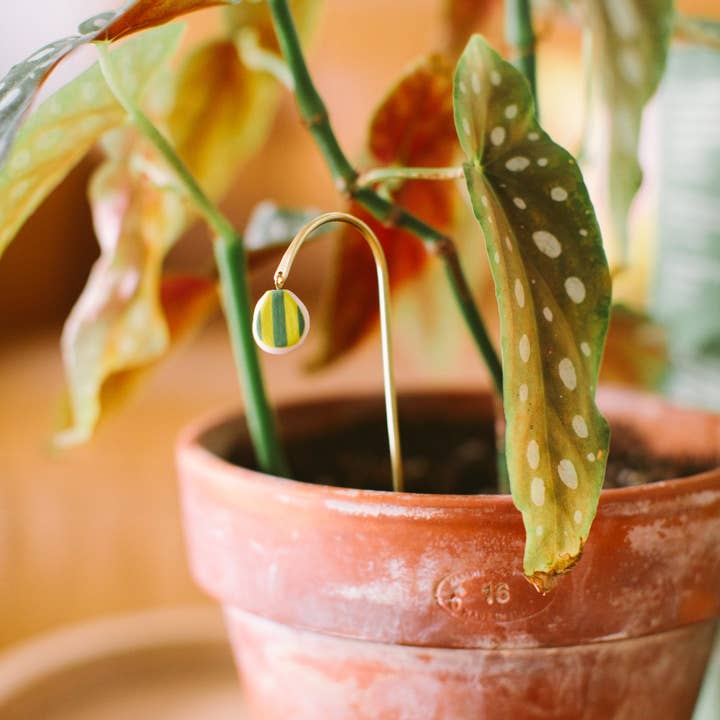 Twenty Two West - Wholesale Decorative Figurine - Tiny Plant Butterfly2