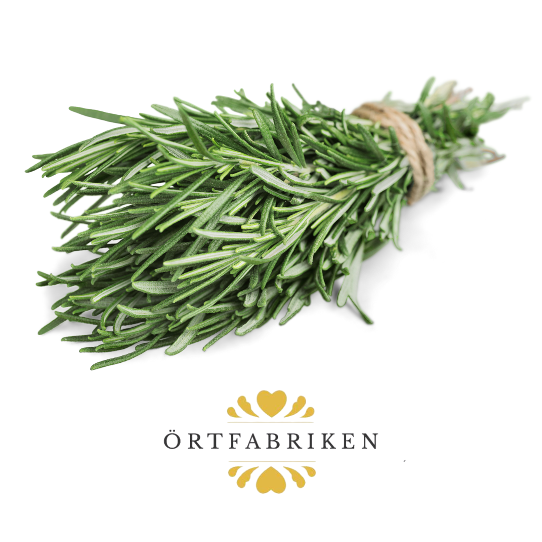 Örtfabriken - Vendita all'ingrosso Olio essenziale - Olio essenziale di rosmarino ♡ 10ml1