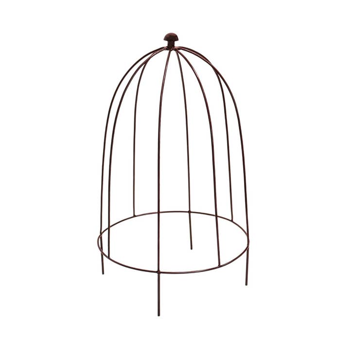 Ivyline – wholesale Planting net/cover – Outdoor Plant Support H50cm W26cm8