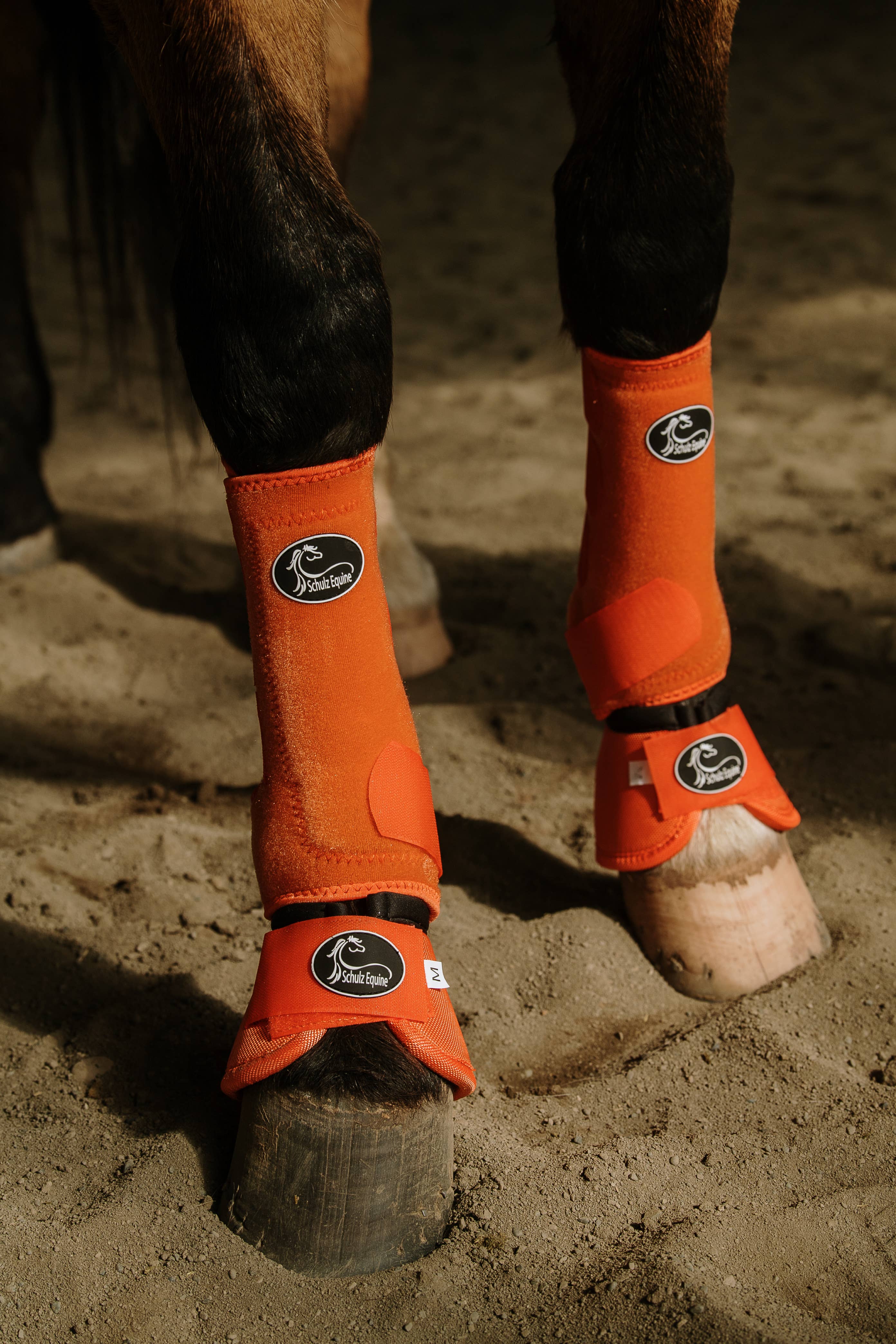 Schulz Equine - Vendita all'ingrosso Attrezzatura da equitazione - Stivali sportivi AirFlow - Confezione da 28