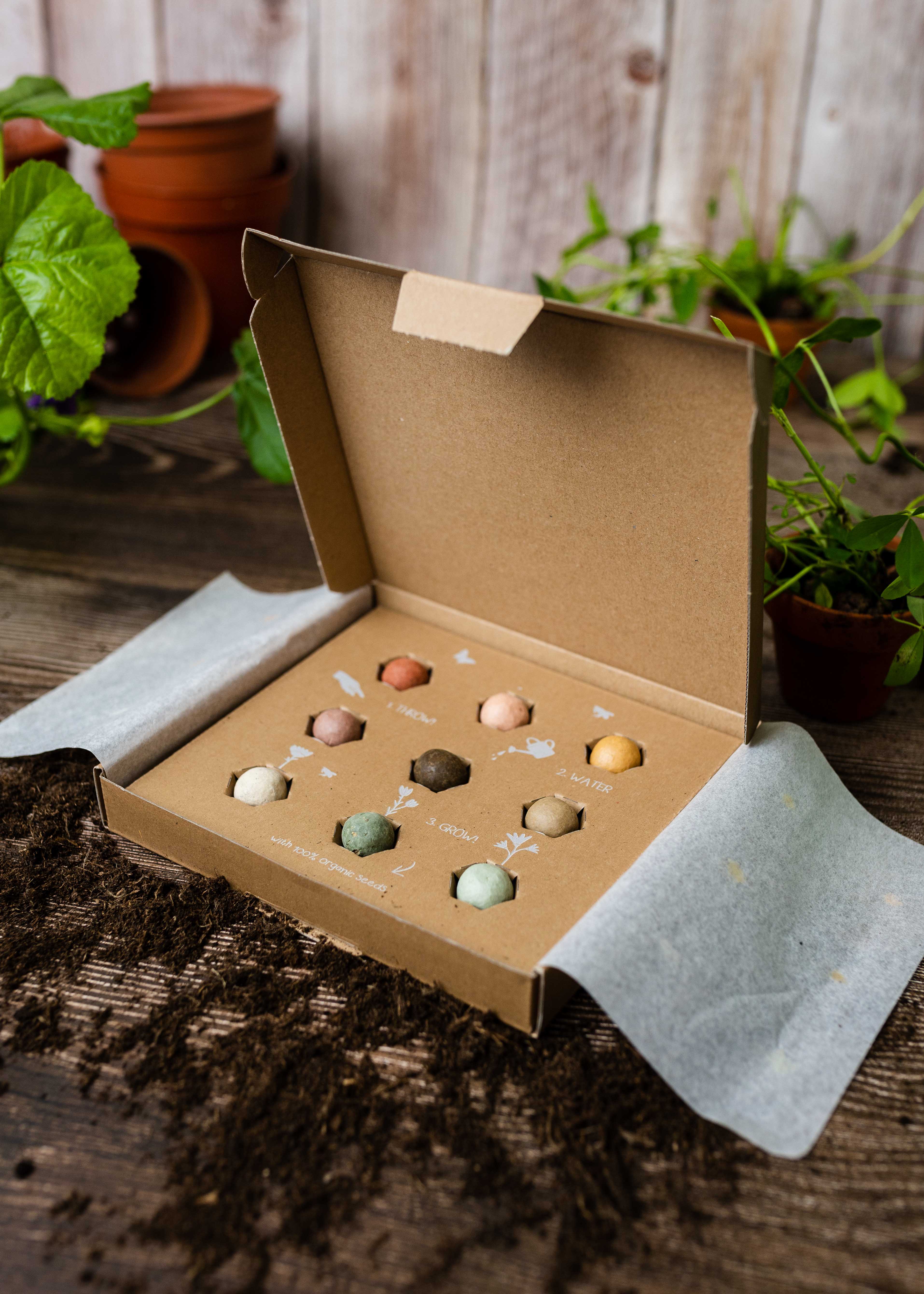 Blossombs – Engroshandel Plantefrø – Medium gaveæske med 9 økologiske frøbomber8