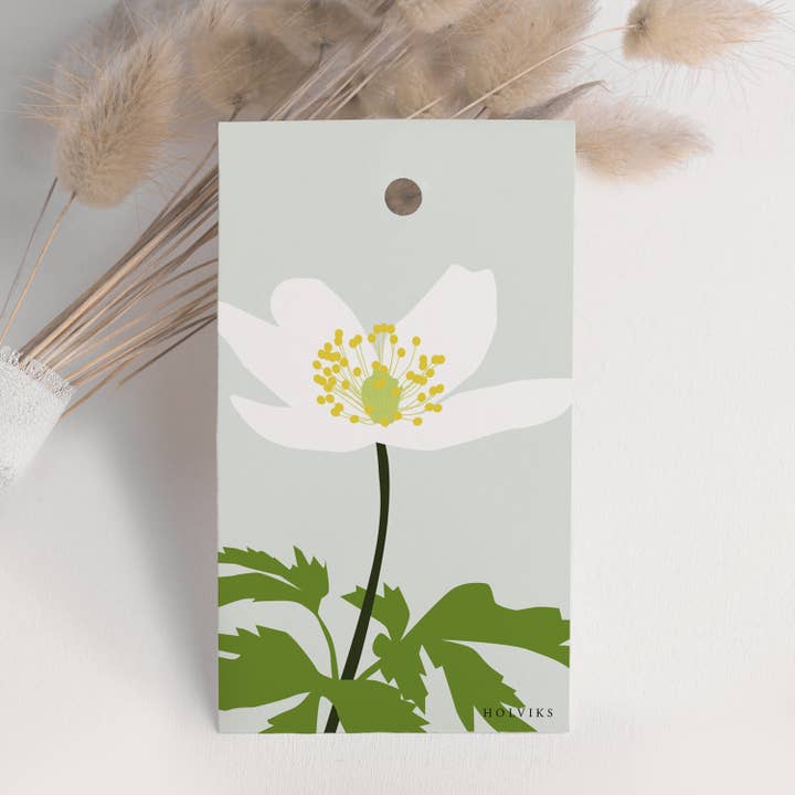 Gavemærke Hvid Anemone for engroshandel hos Holviks