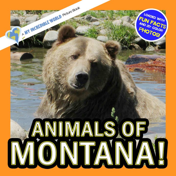 Animals of Montana! A My Incredible World Picture Book for Children for wholesale by My Incredible World