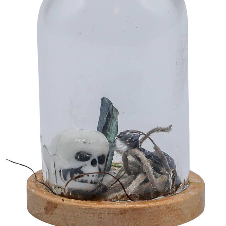 Enchanted Soul - Wholesale Terrarium - Vivianite Terrarium in Glass Dome0