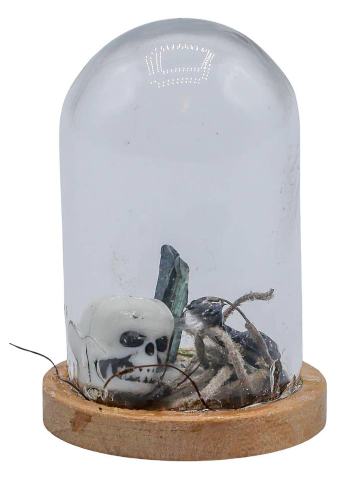 Vivianite Terrarium in Glass Dome for wholesale by Enchanted Soul