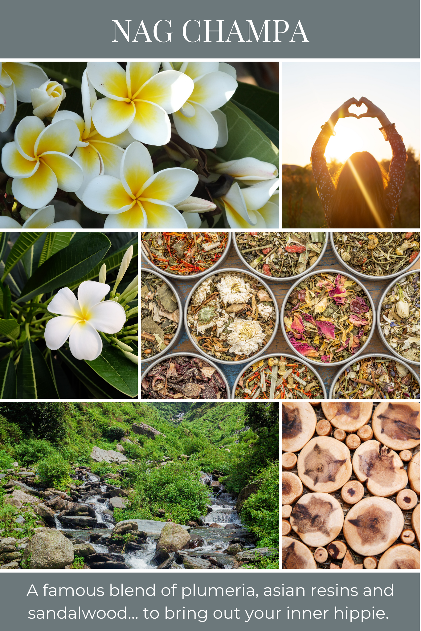 Eco Candle Company - Wholesale Jar/Filled Candle - 18oz eco candle NAG CHAMPA1