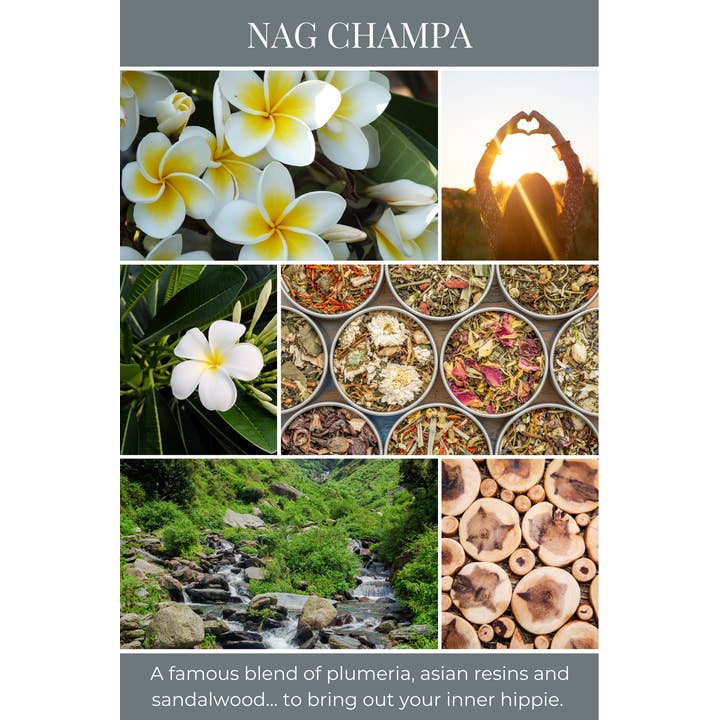 Eco Candle Company - Wholesale Jar/Filled Candle - 18oz eco candle NAG CHAMPA1