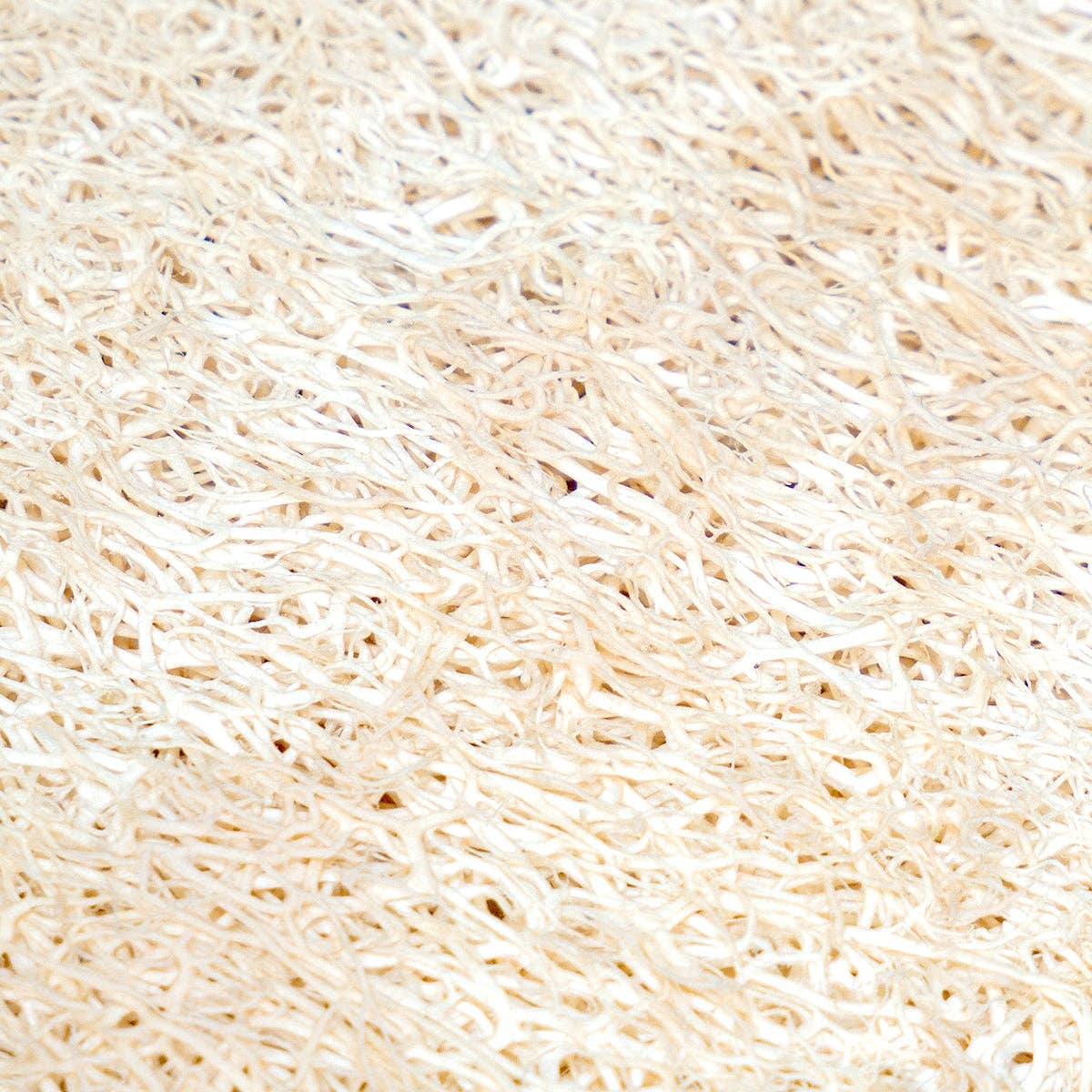 puremetics GmbH - Wholesale Badpuff/badspons - zeepbakje van loofah (sponscourgette)4