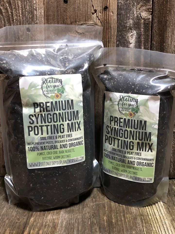 Mélange d'empotage SYNGONIUM Premium pour la vente par Rooting For You Plant Nursery