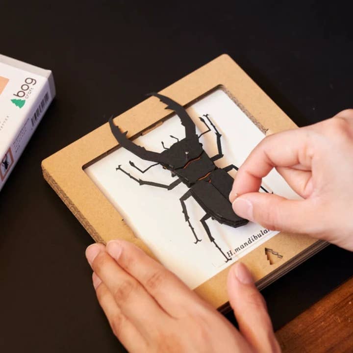 「FUNJI」In Japan - Wholesale DIY Craft Kit - Japanese Paper Craft Beetle Kit – H. Mandibularis Model4