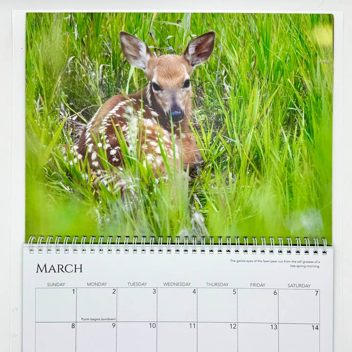 Wren - Wholesale Calendar - 2026 Calendar, A Closer Look4