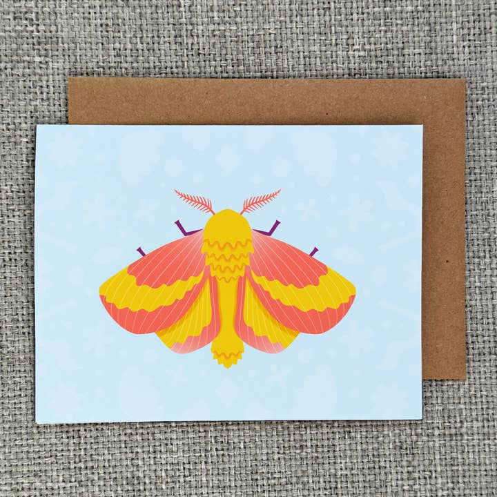 Rosy Maple Moth Notecard for wholesale by Dandymark