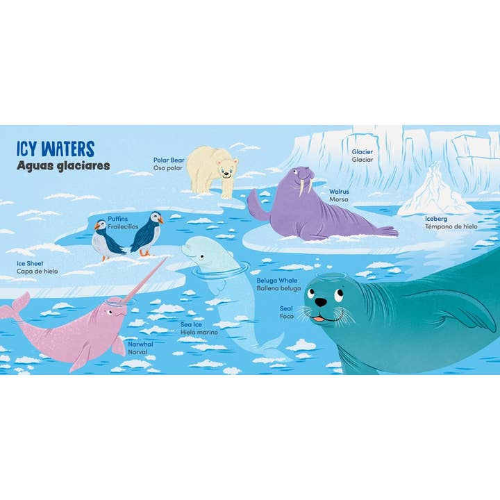 Gibbs Smith - Wholesale Book - Kids - My First 100 Ocean Words in English and Spanish- Lil' Libros