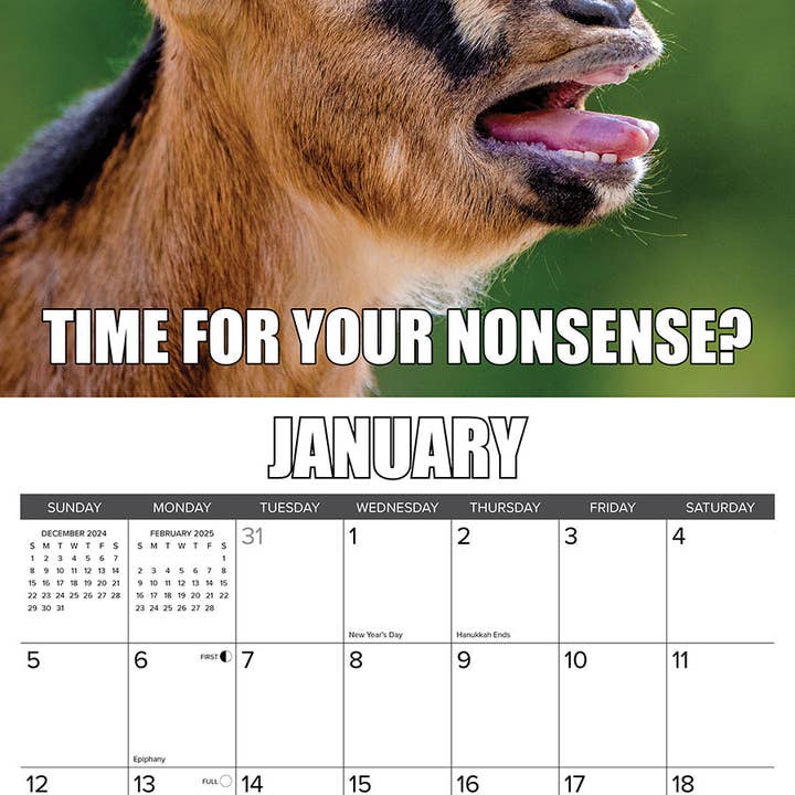 Willow Creek Press & Gifts - Wholesale Calendar - You Goat This 2025 Wall Calendar