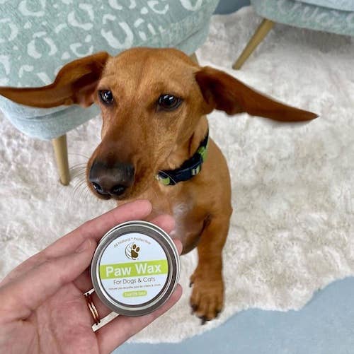 Eco-Pup - Vente Protection pour pattes - Cire pour pattes 100 % naturelle 29,5 ml (1 oz)1