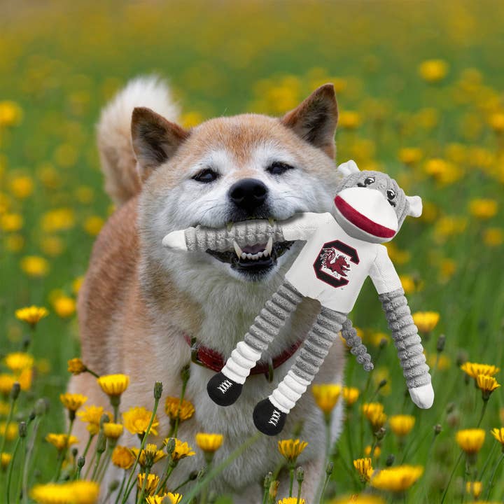 Little Earth Productions - Wholesale Pet Plush Toy - Dog - NCAA South Carolina Fighting Gamecocks Team Sock Monkey Pe1