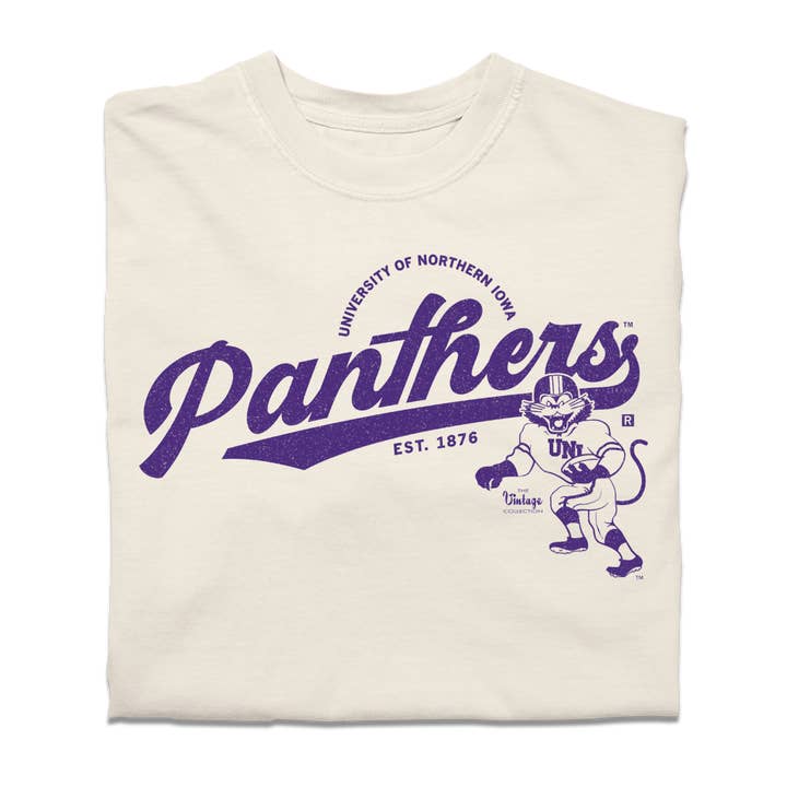 Panthers Script Logo Heavyweight for wholesale by RAYGUN