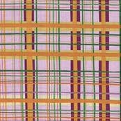 Paradise plaid - varm (RTS) pannband för wholesale av Cookie & the Dude