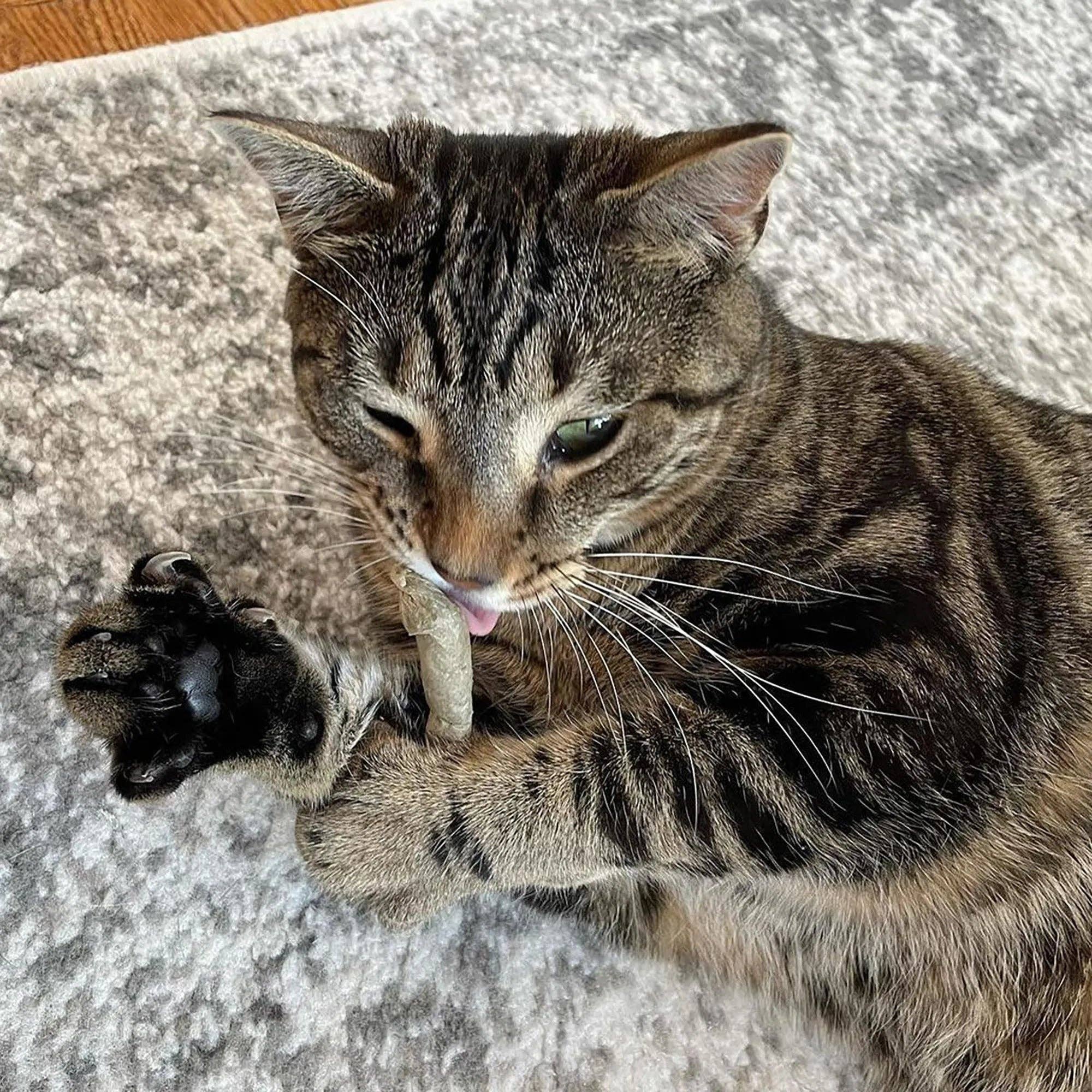 SmarterPaw | Meowijuana & Doggijuana - Wholesale Catnip - Meowijuana® Catnibas® King Size Rollies7