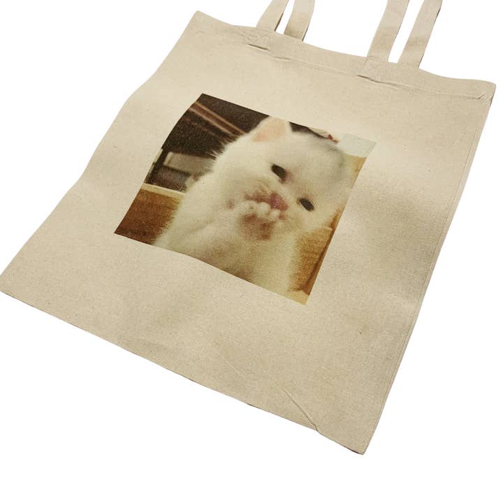 Joli sac fourre-tout pour chat Meme Funny Bag pour la vente par ZZZEBRAAA LIMITED