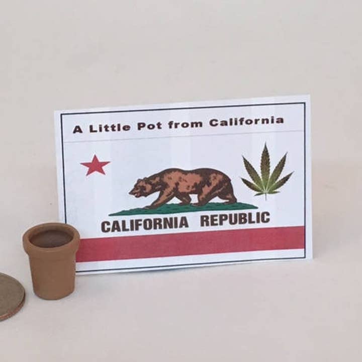 GP Originals - Wholesale Gag Gift/Novelty Gift - Little Pot from California Gag gift0