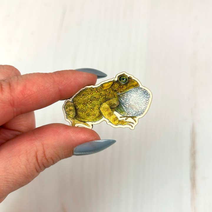 Sarah Draws Things - Wholesale Lapel Pin/Button - American Toad - 1.5" illustrated wooden pin 3