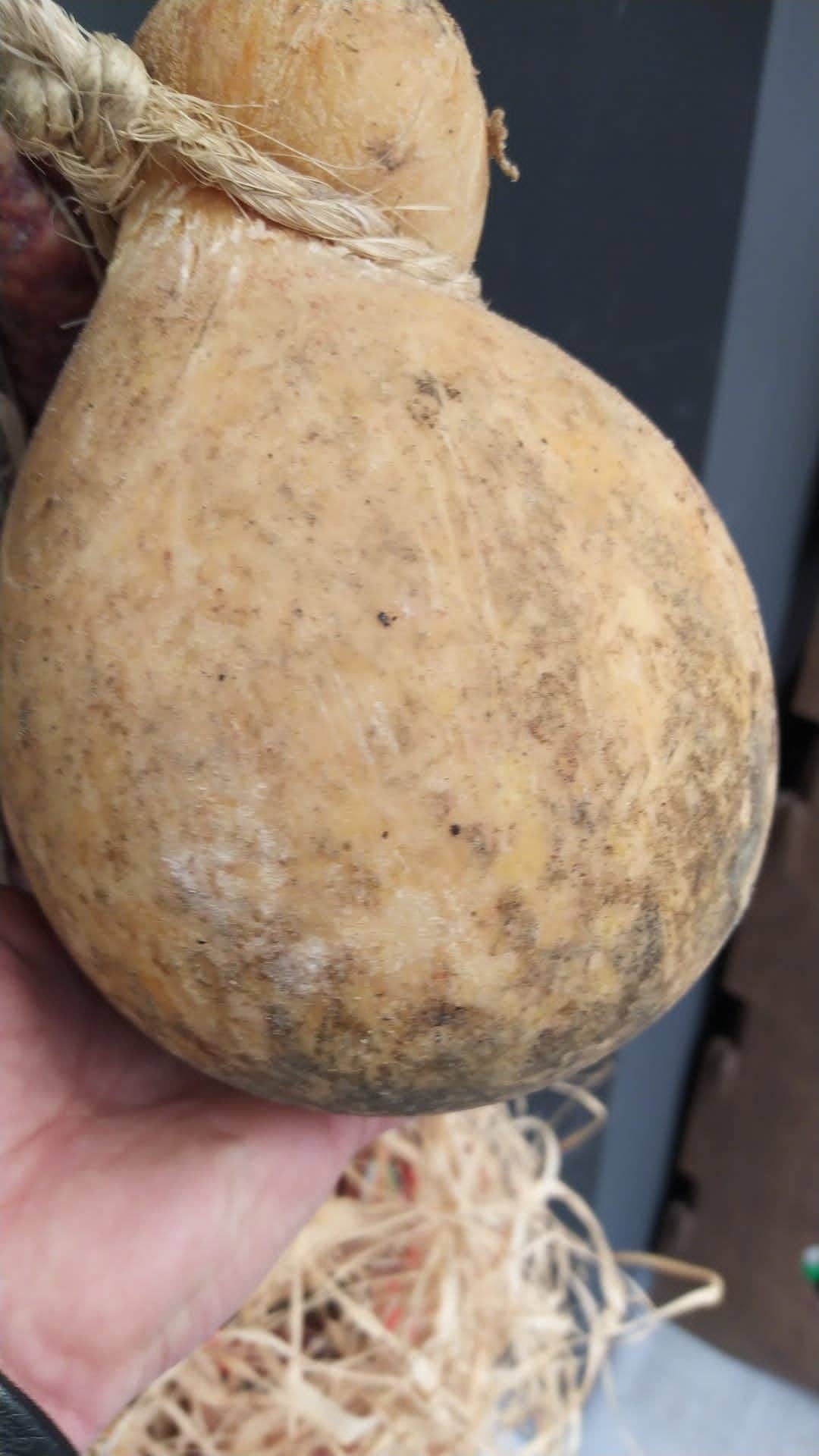 I sapori di una volta s.r.l.s – Engroshandel Ost – Caciocavallo Irpino lagret i 18 måneder1