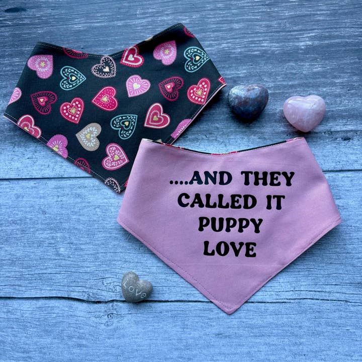 VALENTIJNSDAG | Bandana | Puppy Love voor wholesale door Baxter's Boutique