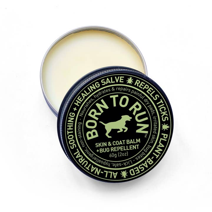 BORN TO RUN DOGS - Wholesale Pet Balm - Dog - SKIN & COAT Healing Balm w/ Bug Repellent Organic 60g (2oz)