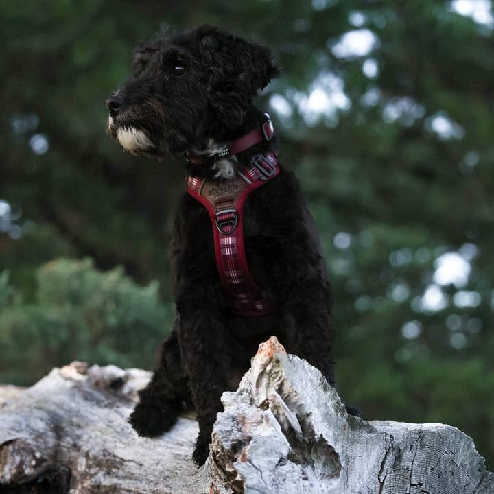 The aDoraBle Pooch Company - Wholesale Pet Harness - Dog - Streamline Pro™ Dog Harness - Heritage Collection - Merlot Manor8